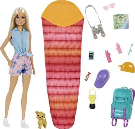 Barbie Barbie Malibu Dia de Acampamento, Multi - Webiishop