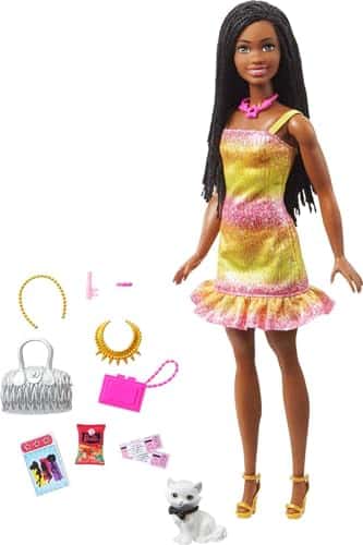 Barbie Boneca Barbie Brooklyn e animal de estimação - Webiishop