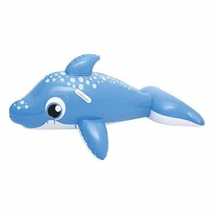 Boia Inflável Golfinho Mor - Webiishop