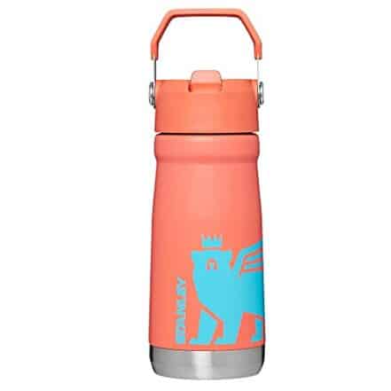 Garrafa Térmica Flip Straw Kids Stanley | 500ML - Webiishop