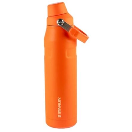 Garrafa Térmica Stanley Aerolight Fast Flow Tigerlily 1,1 Litros - Webiishop