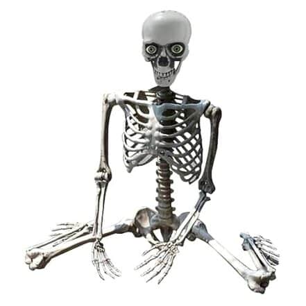 Esqueleto de Halloween Modelo de esqueleto Acessórios de casa assombrada Corpo inteiro Posable Articula??es Esqueleto Esqueleto assustador para, 70cm/764 (Size : 70cm) - Webiishop